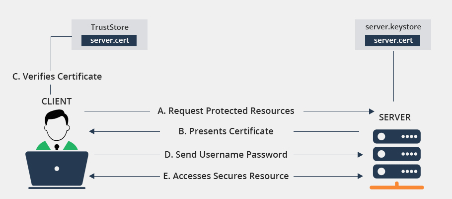 Avoid Risks Of Login Form Attacks with SSL