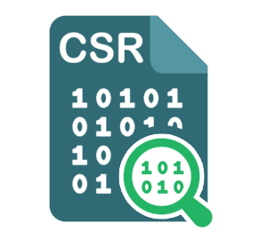 Csr decoder