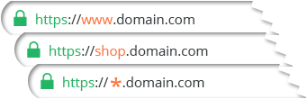 Wildcard SSL Certificates Wildcard SSL Certificates