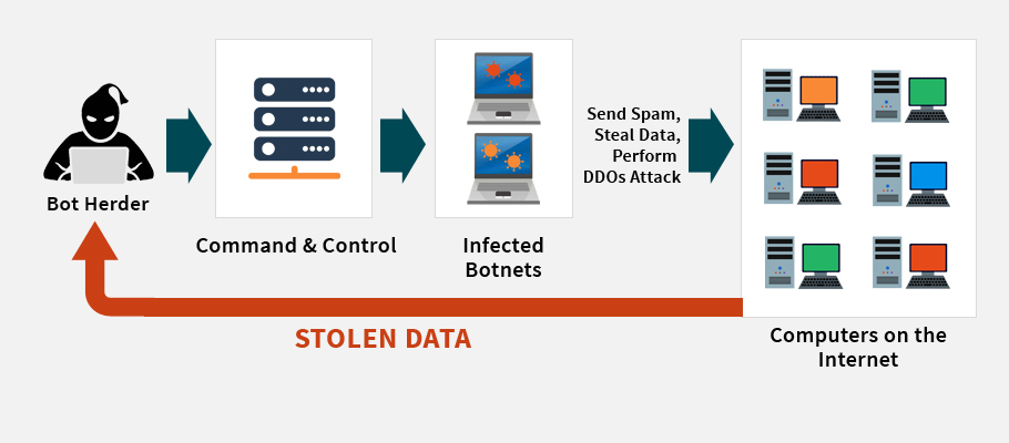 how ddos and botnets can influence network severely