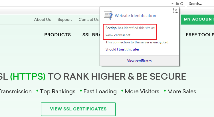 how to view ssl certificate details in internet explorer