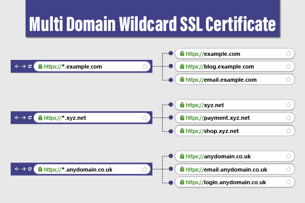 multi domain wildcard ssl certificate