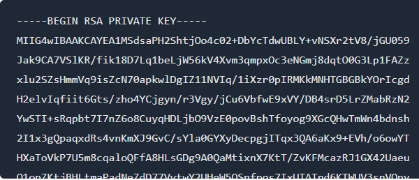 rsa private key example