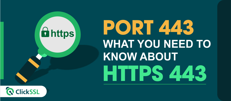 what-is-port-443-https-port-443-technical-guide