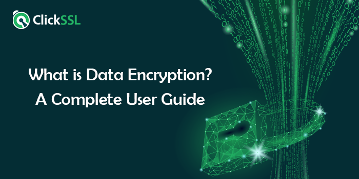 what is data encryption