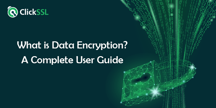 What is Data Encryption? A Complete User Guide