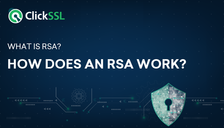 what is rsa