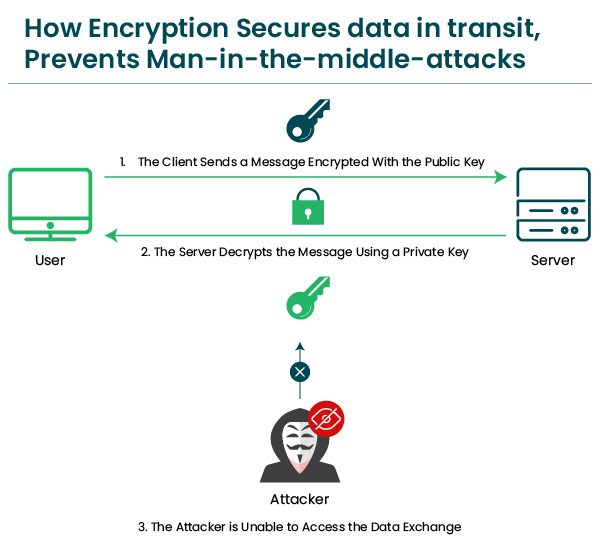 how encryption secures data
